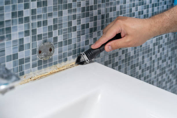 Best Fast Mold Removal  in Stanton, CA