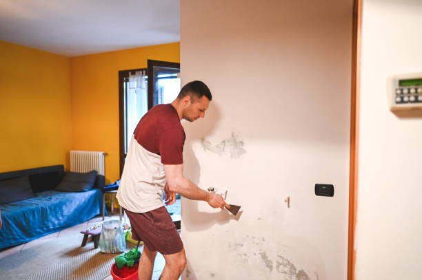 Best Crawl Space Mold Removal  in Stanton, CA